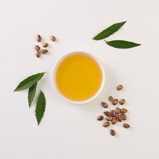 Castor Oil, Turkey Red